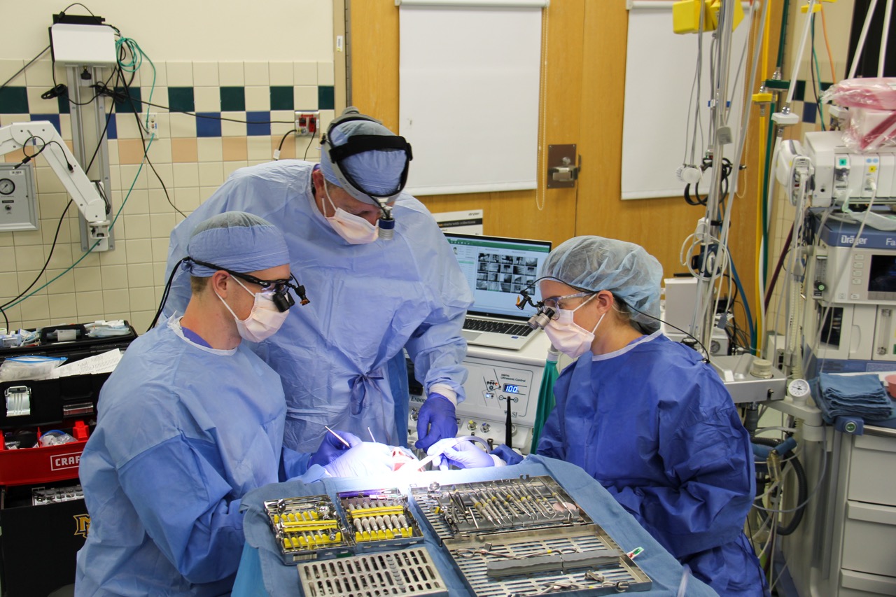 gpr-operating-room gpr-operating-room