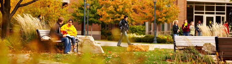 Fall on Marquette's campus