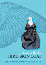 book jacket illustration