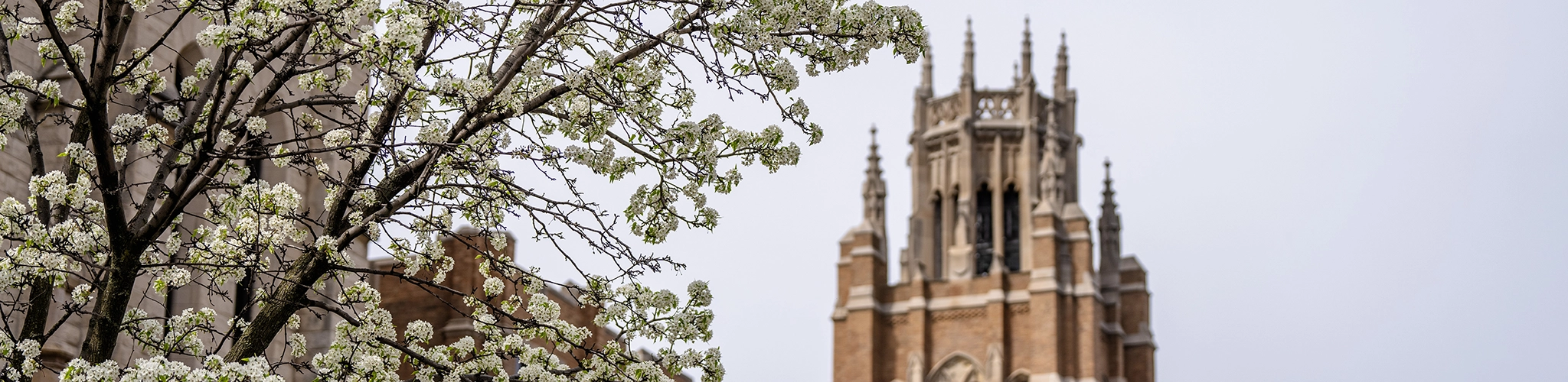A springtime photo of Marquette Hall on the Marquette University campus