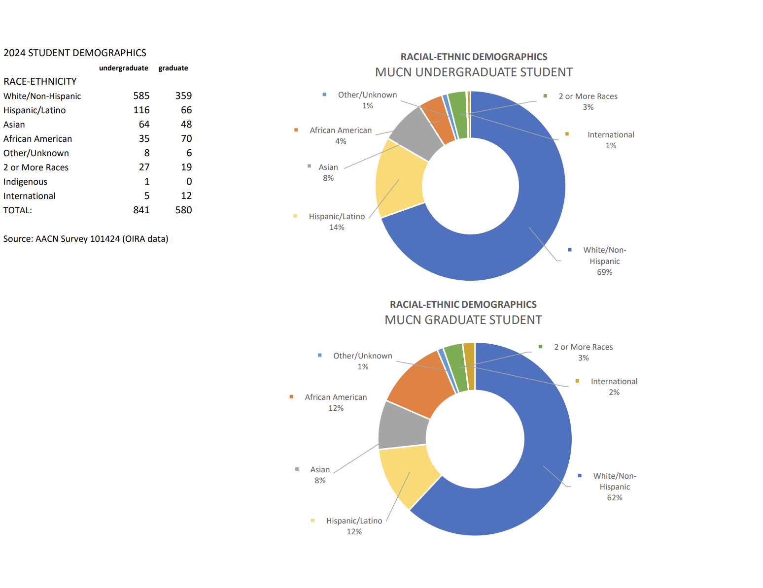 A graph showing the ethnic distribution of Marquette Nursing students.