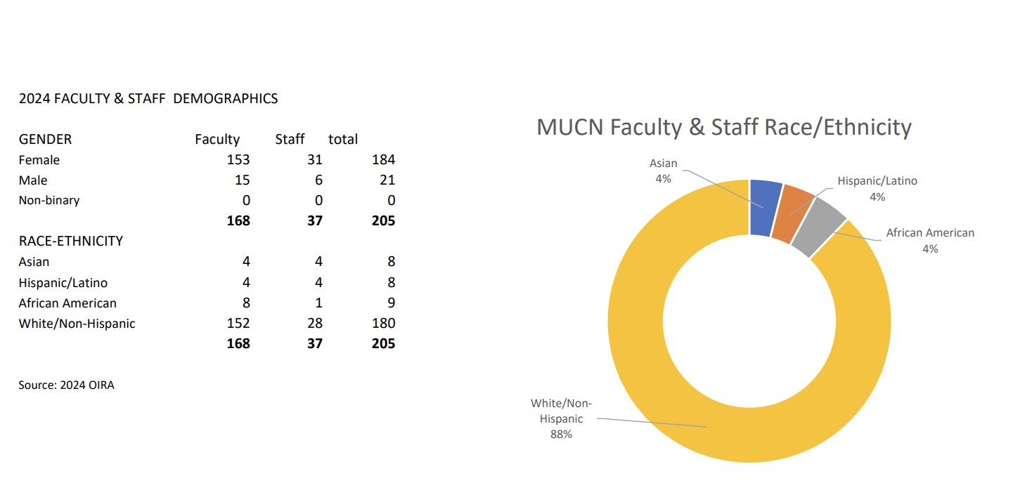 The demographic makeup of Marquette Nursing faculty.