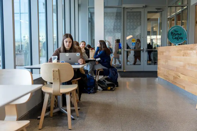 Student on laptop