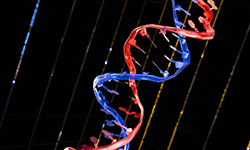 DNA illustration