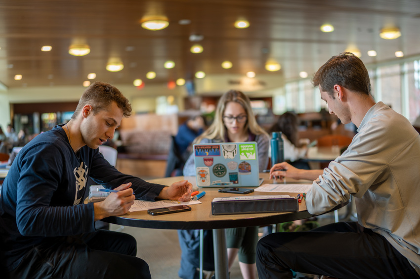 Picture of three students studying a the bridge 