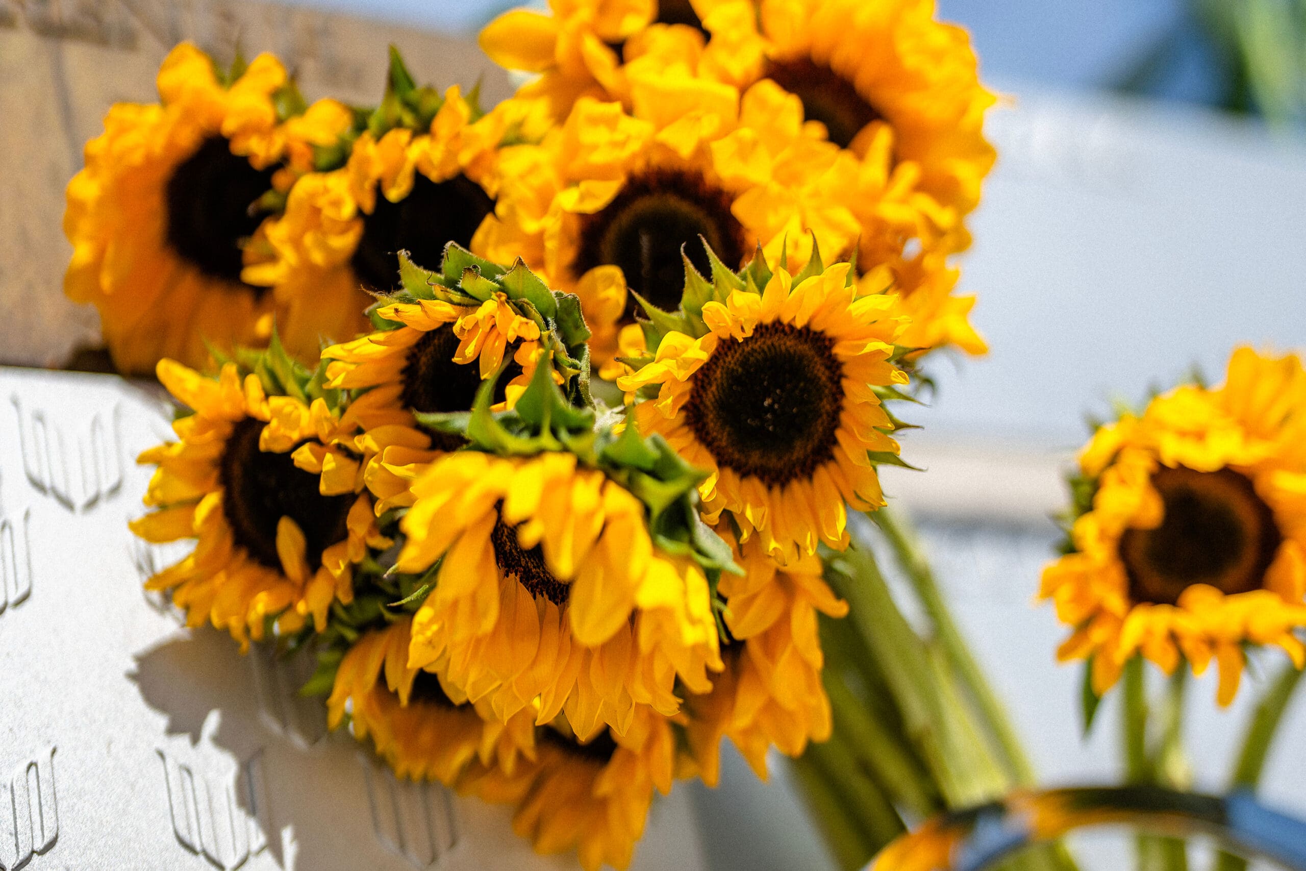 Closeup image of a bouquet of sunflowers.